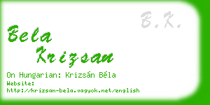 bela krizsan business card